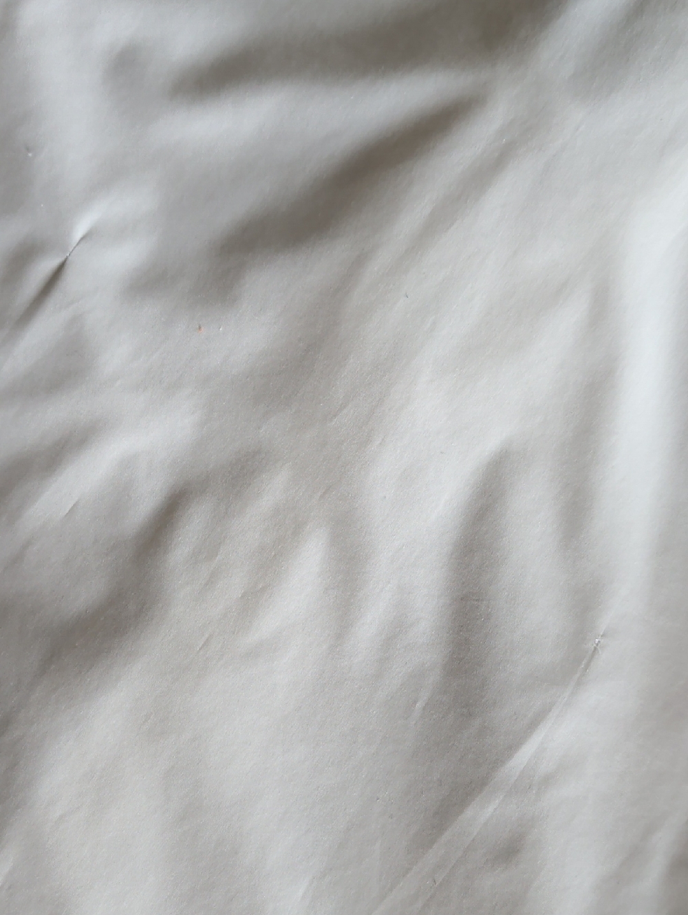 White Ruffled Front Button-Down Blouse - Picture 11 of 12